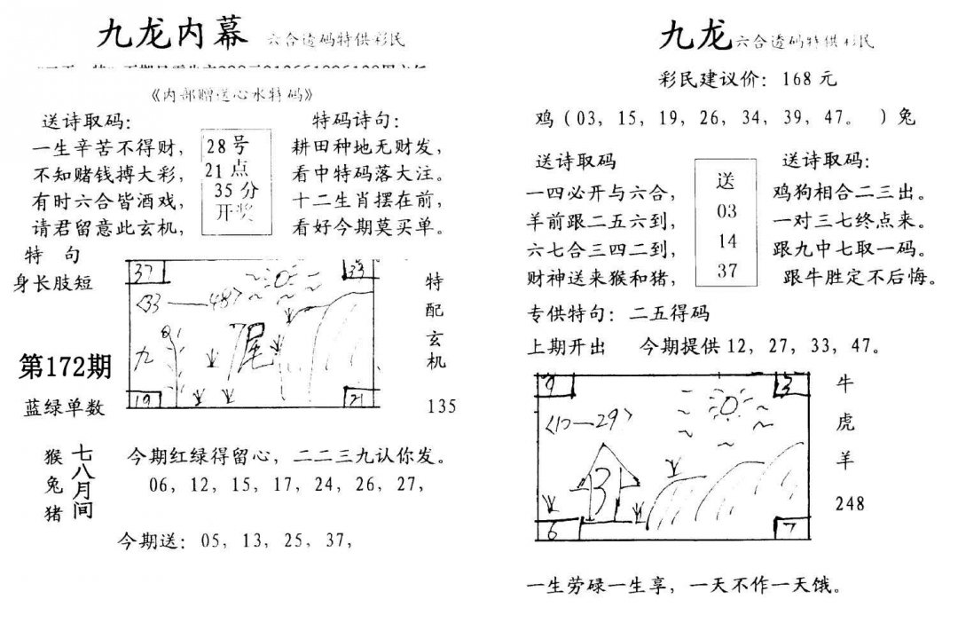 九龙内幕(开奖)-172