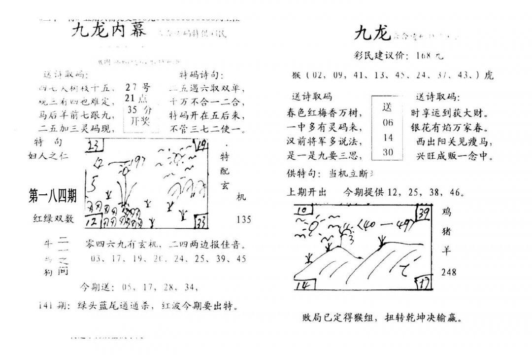 九龙内幕(开奖)-184