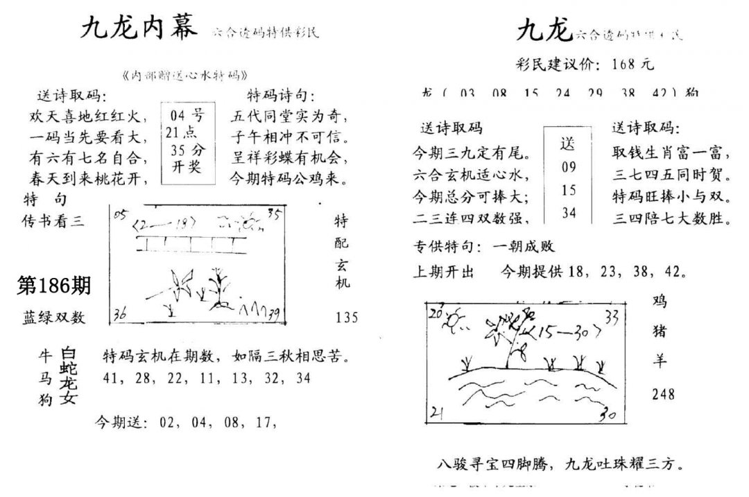 九龙内幕(开奖)-186