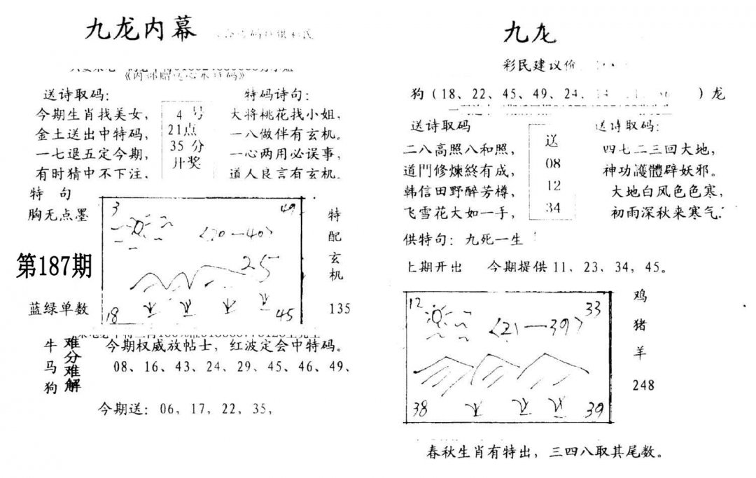 九龙内幕(开奖)-187