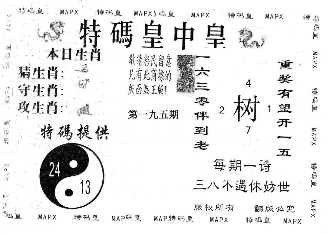 皇中皇B-195