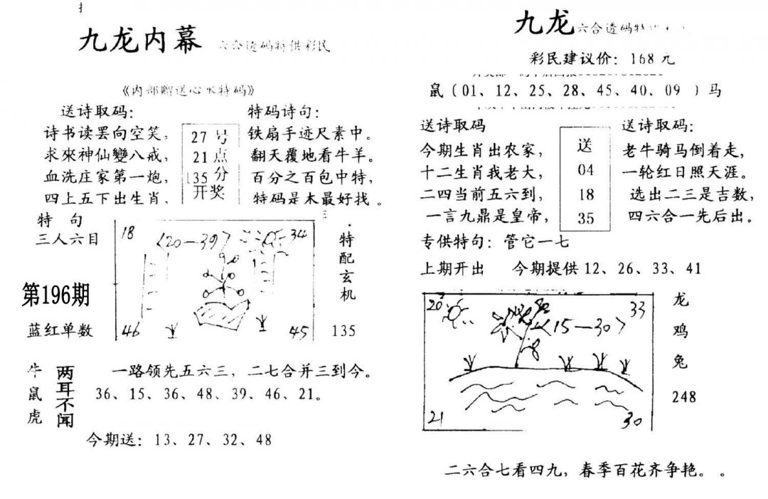 九龙内幕(开奖)-196