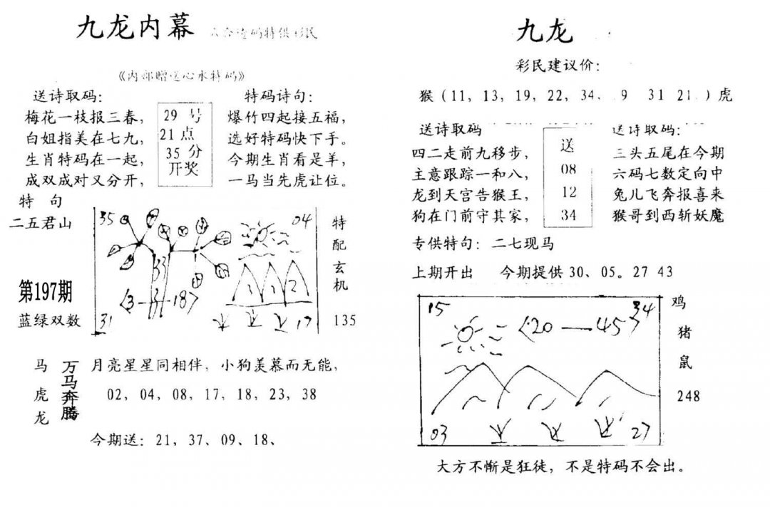 九龙内幕(开奖)-197