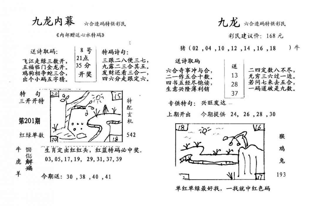 九龙内幕(开奖)-201