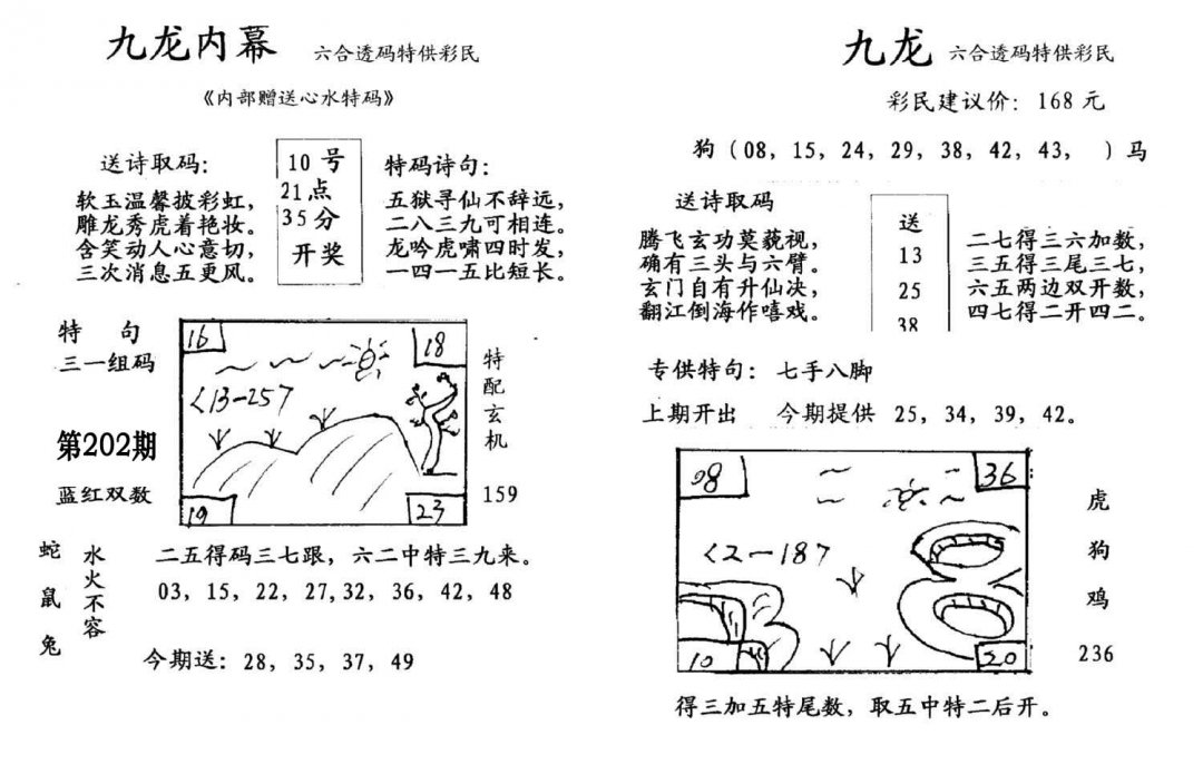 九龙内幕(开奖)-202