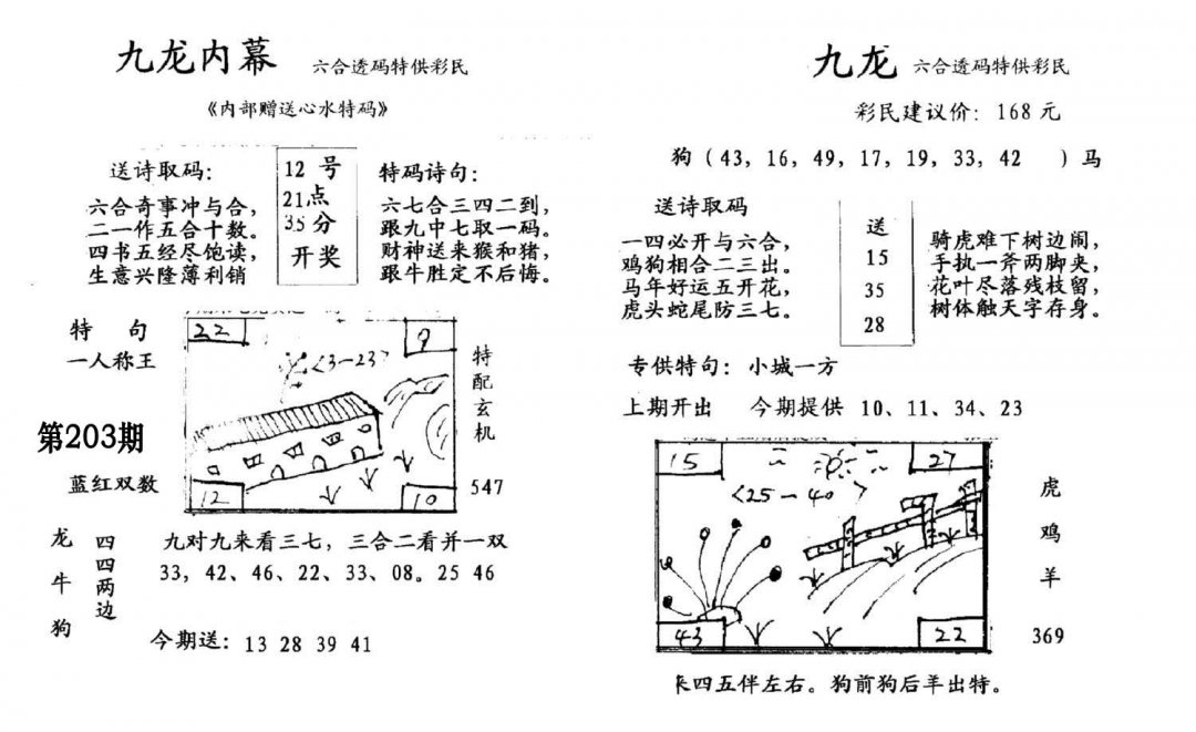 九龙内幕(开奖)-203