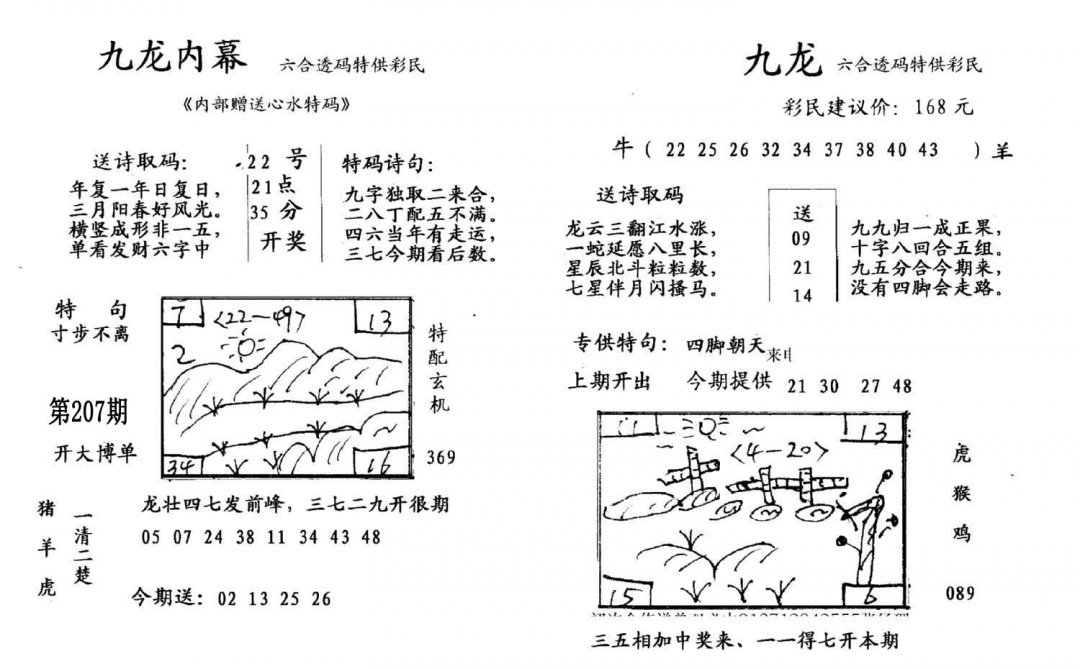 九龙内幕(开奖)-207