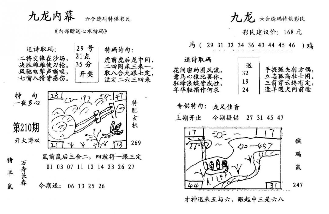 九龙内幕(开奖)-210