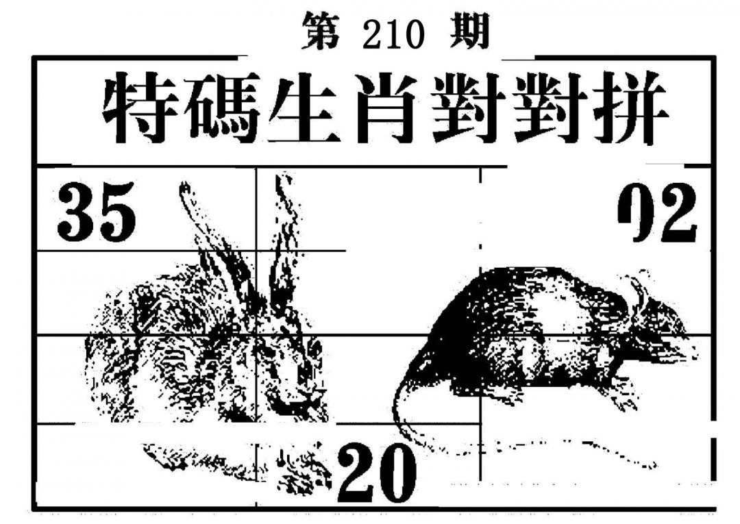 特码生肖对对拼-210