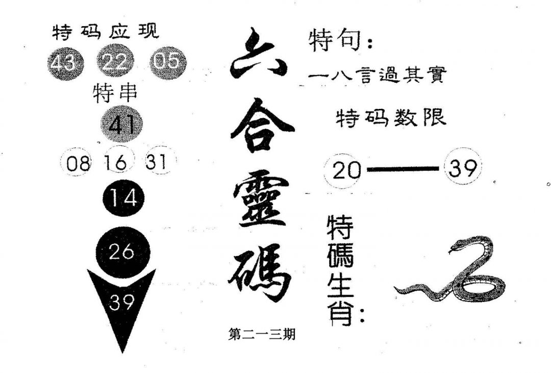 六合灵码-213