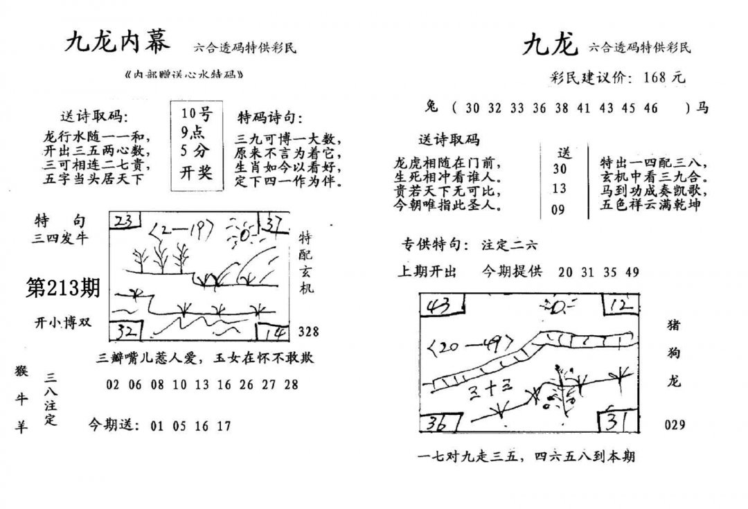 九龙内幕(开奖)-213