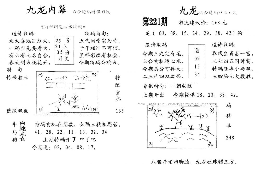 九龙内幕(开奖)-221