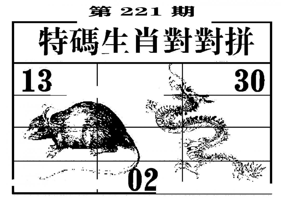 特码生肖对对拼-221