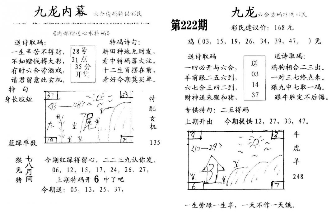 九龙内幕(开奖)-222