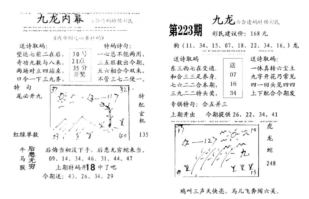 九龙内幕(开奖)-223