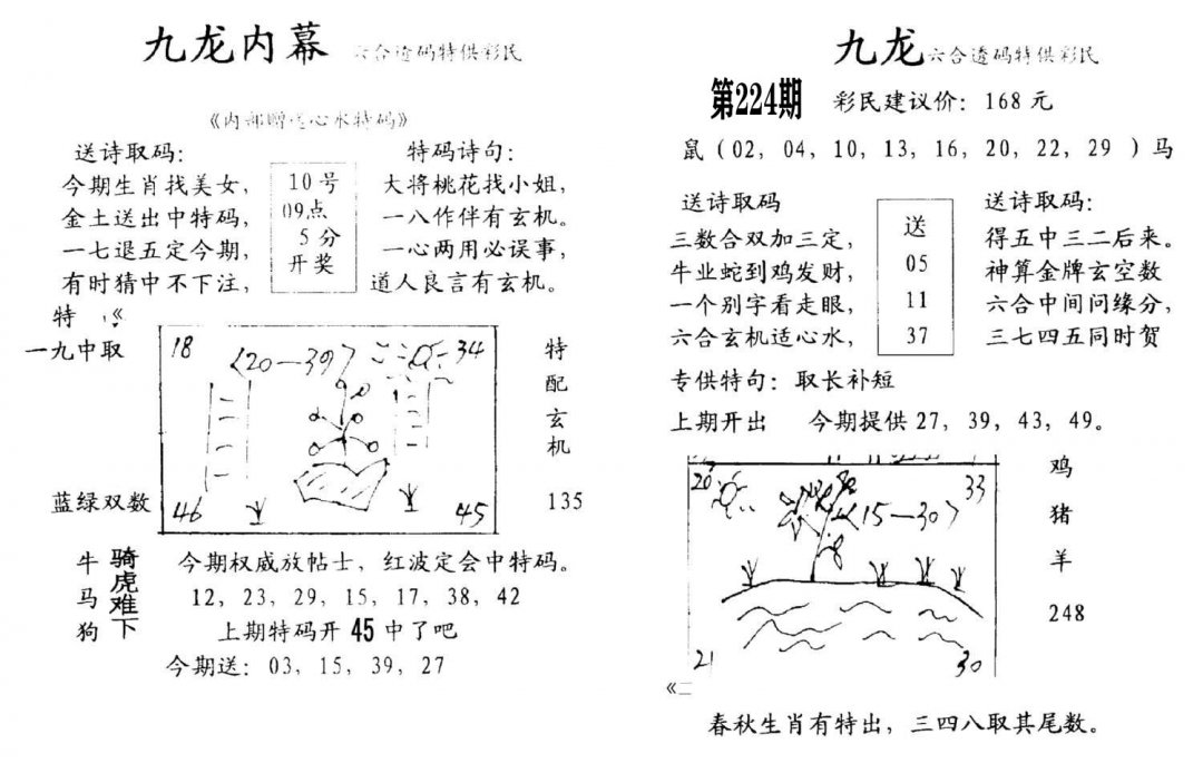 九龙内幕(开奖)-224