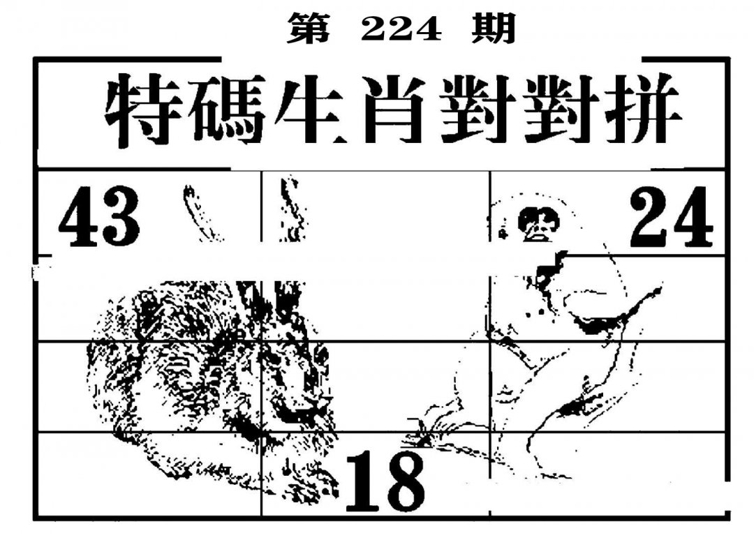 特码生肖对对拼-224