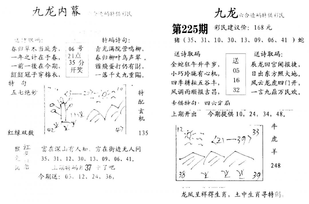 九龙内幕(开奖)-225