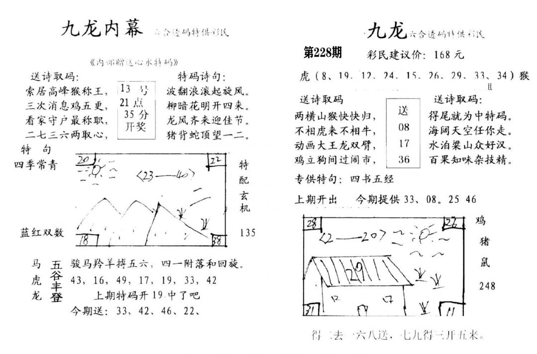 九龙内幕(开奖)-228