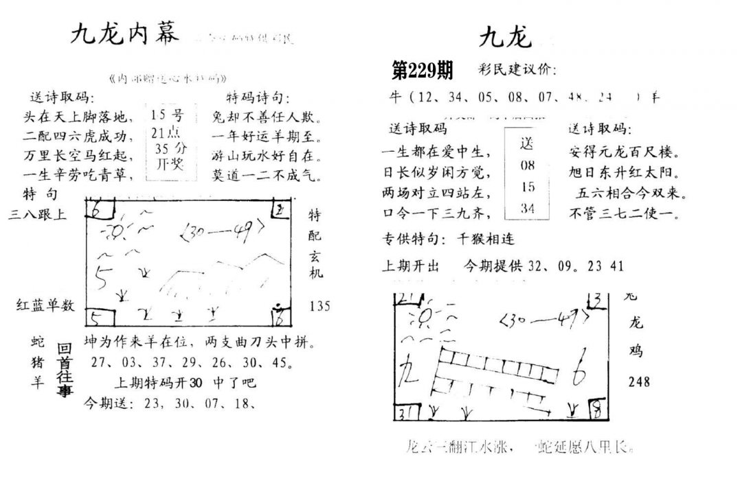 九龙内幕(开奖)-229