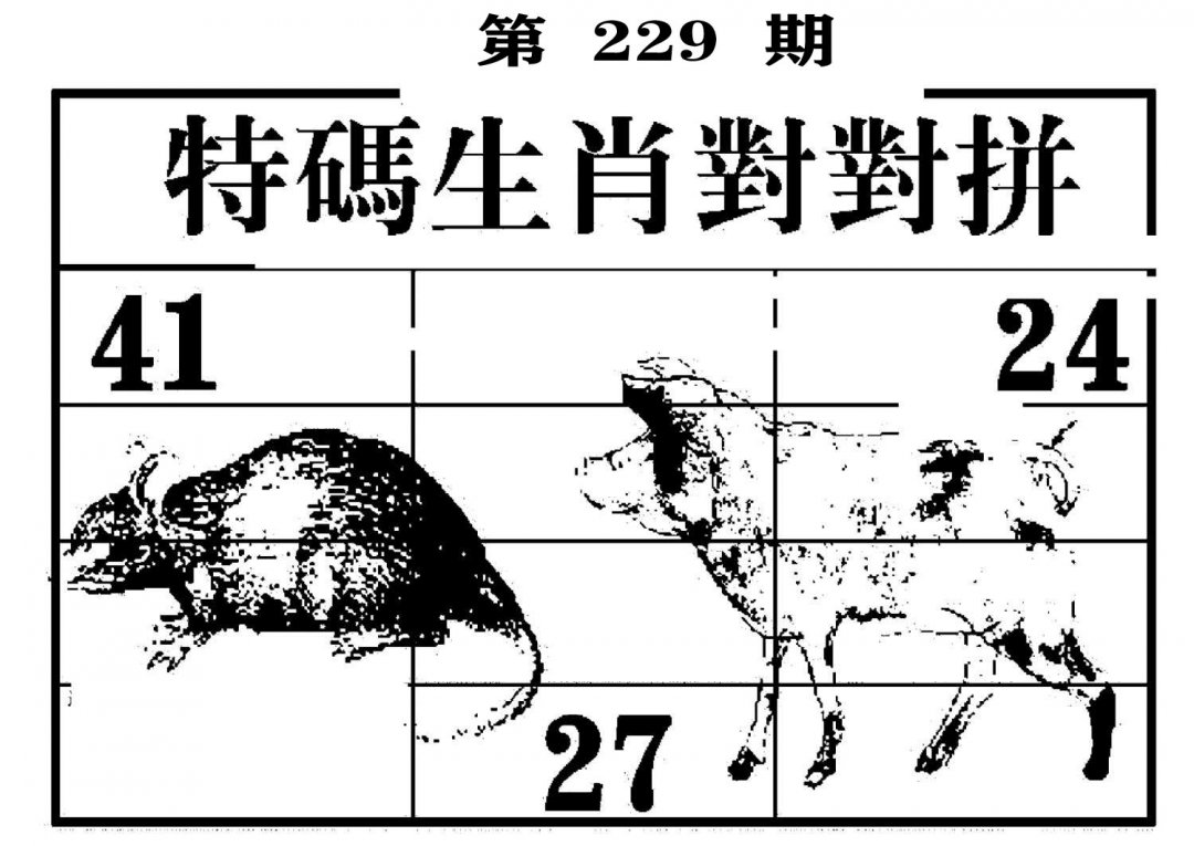 特码生肖对对拼-229