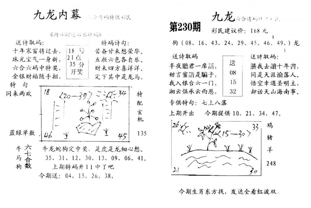 九龙内幕(开奖)-230