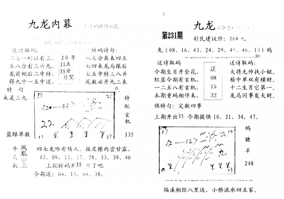 九龙内幕(开奖)-231