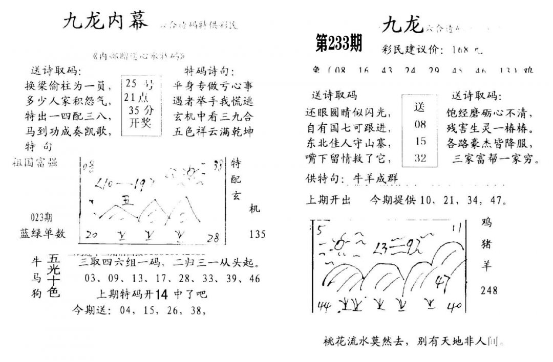 九龙内幕(开奖)-233