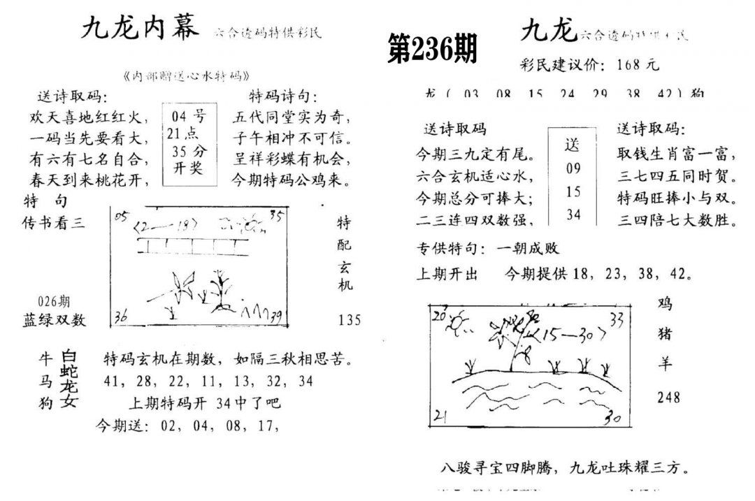 九龙内幕(开奖)-236