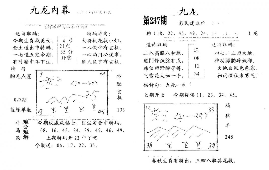 九龙内幕(开奖)-237