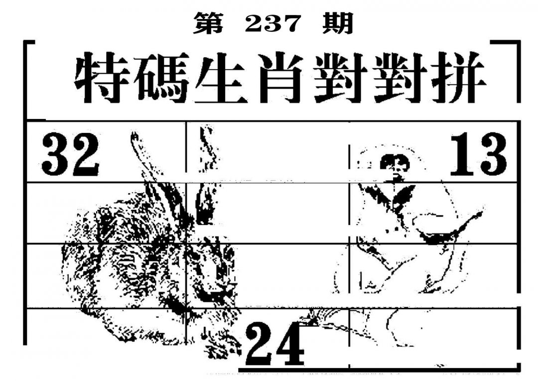 特码生肖对对拼-237