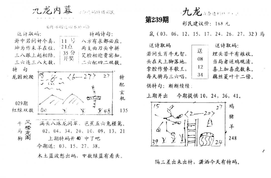 九龙内幕(开奖)-239