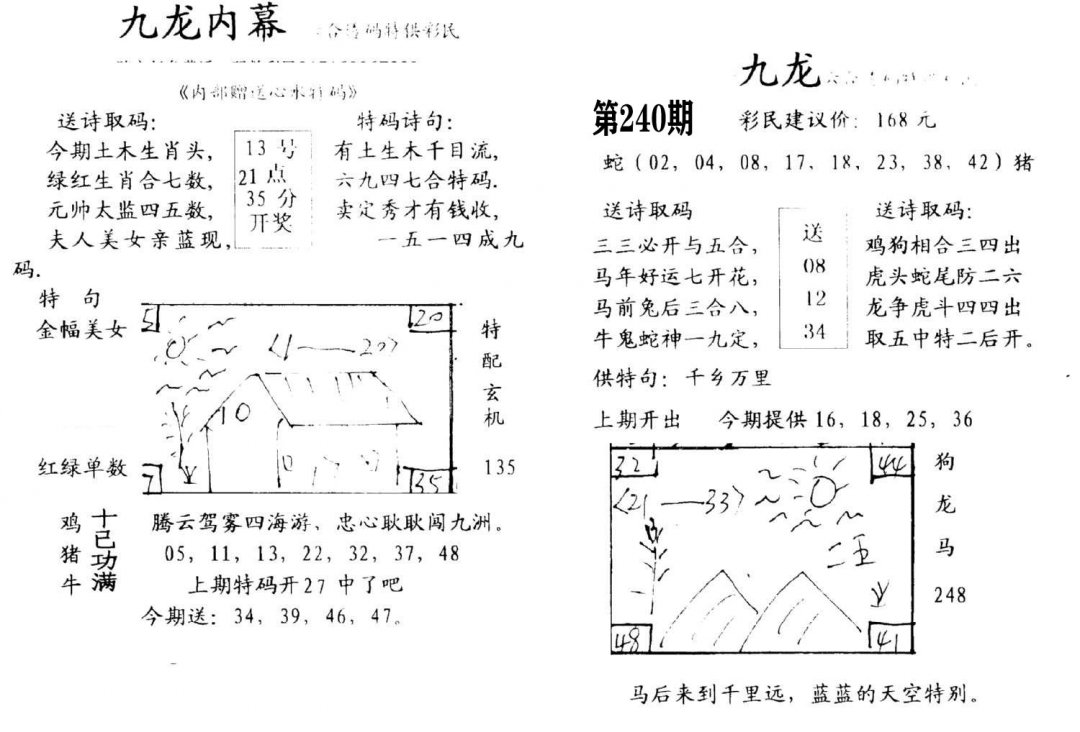 九龙内幕(开奖)-240