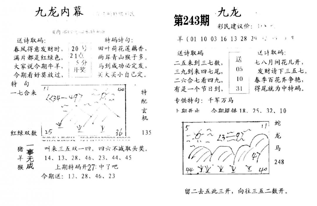 九龙内幕(开奖)-243