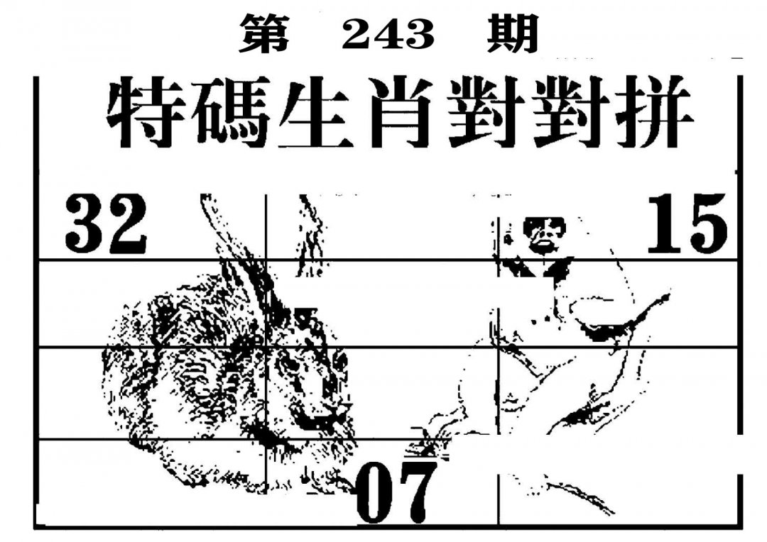 特码生肖对对拼-243