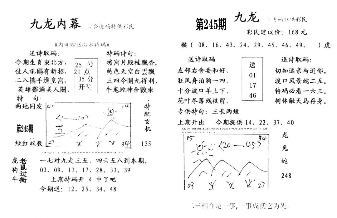 九龙内幕(开奖)-245