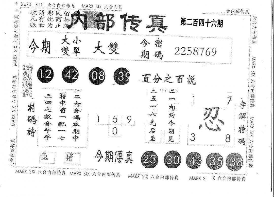 内部特码-246