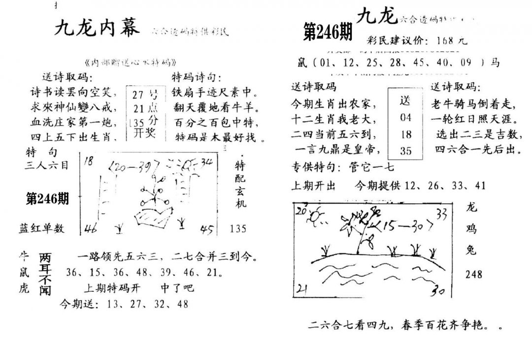 九龙内幕(开奖)-246