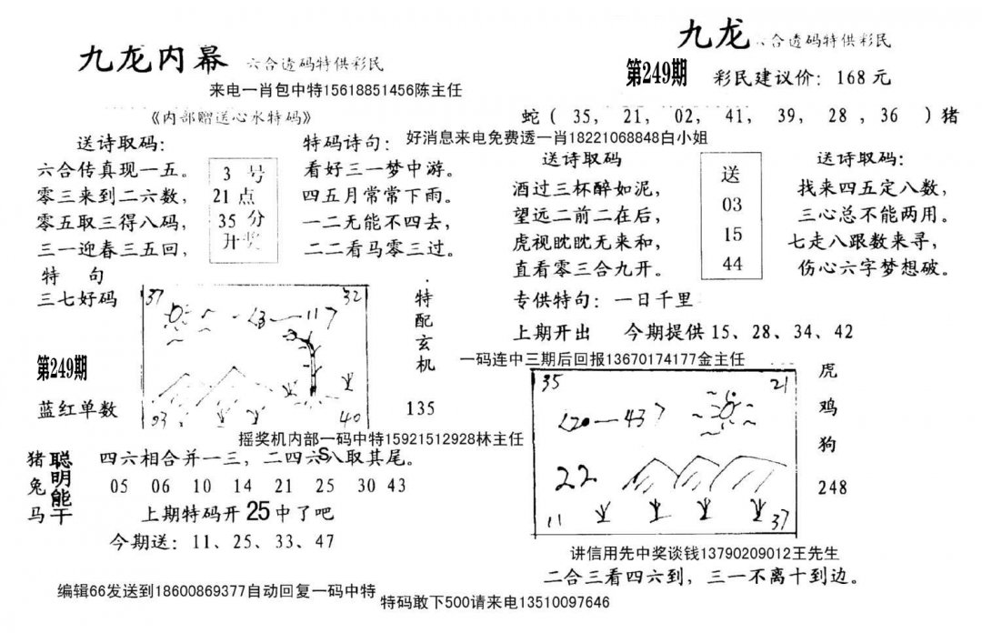 九龙内幕(开奖)-249