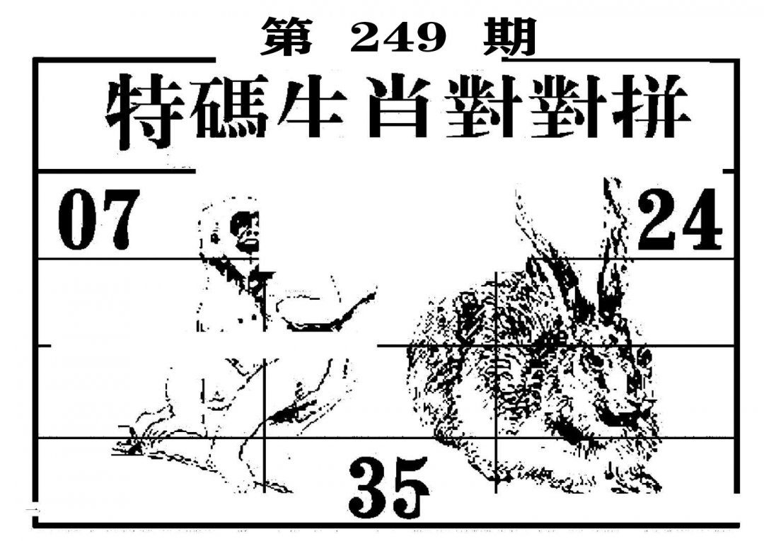 特码生肖对对拼-249