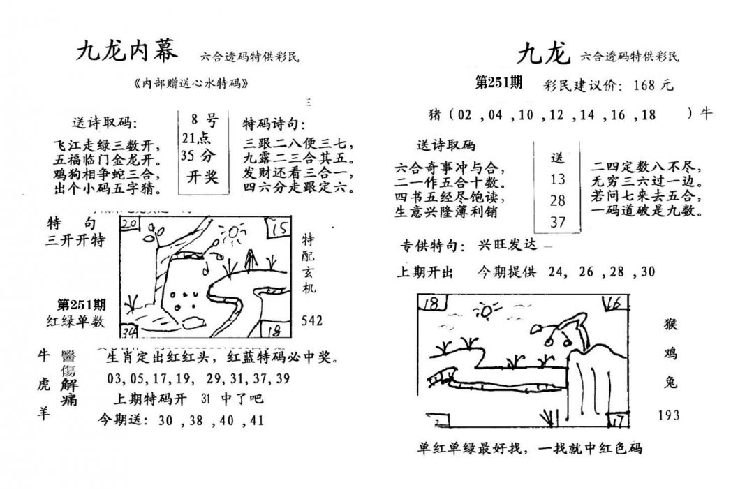 九龙内幕(开奖)-251