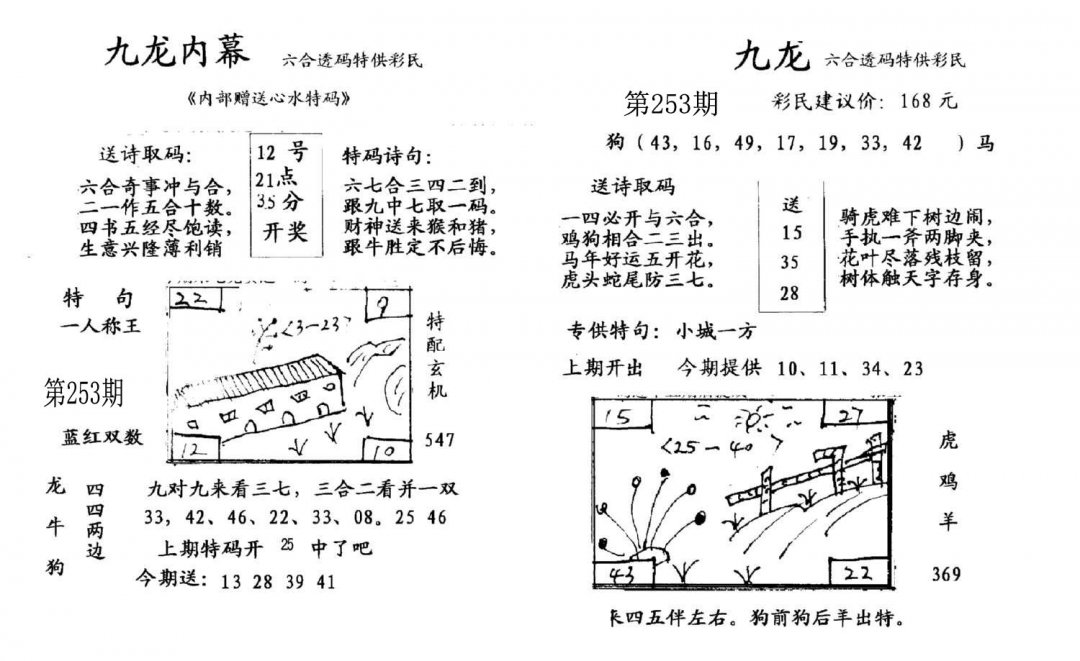 九龙内幕(开奖)-253