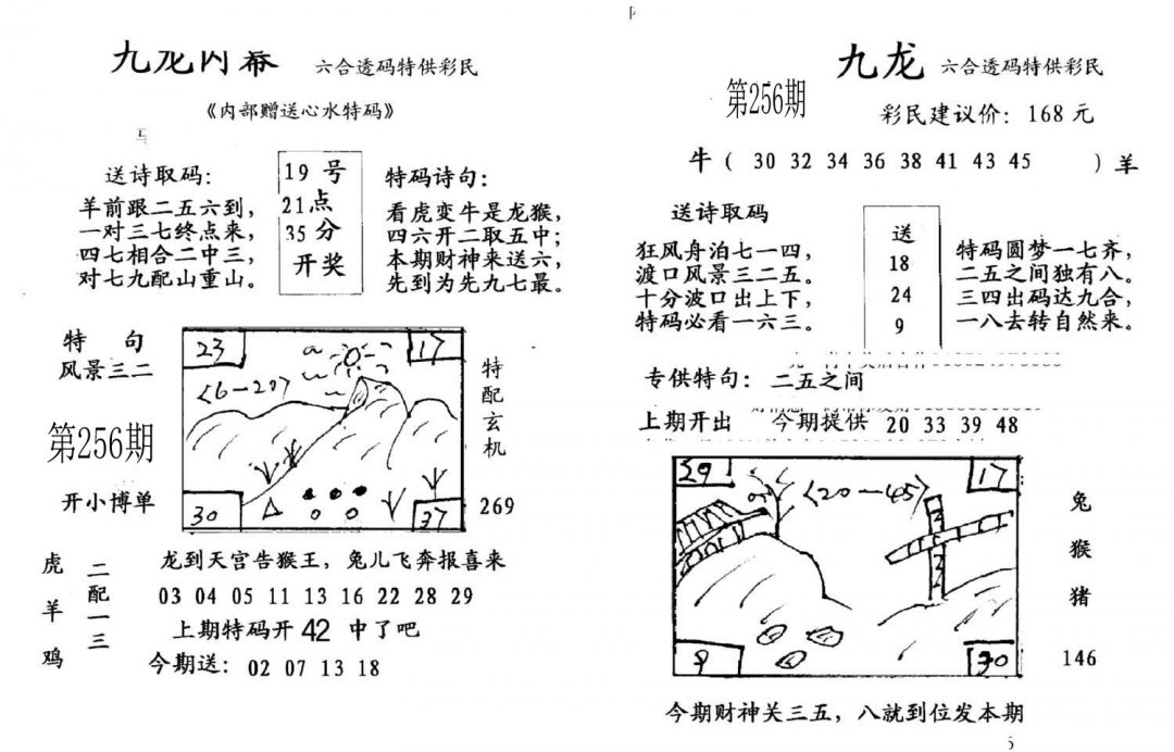 九龙内幕(开奖)-256