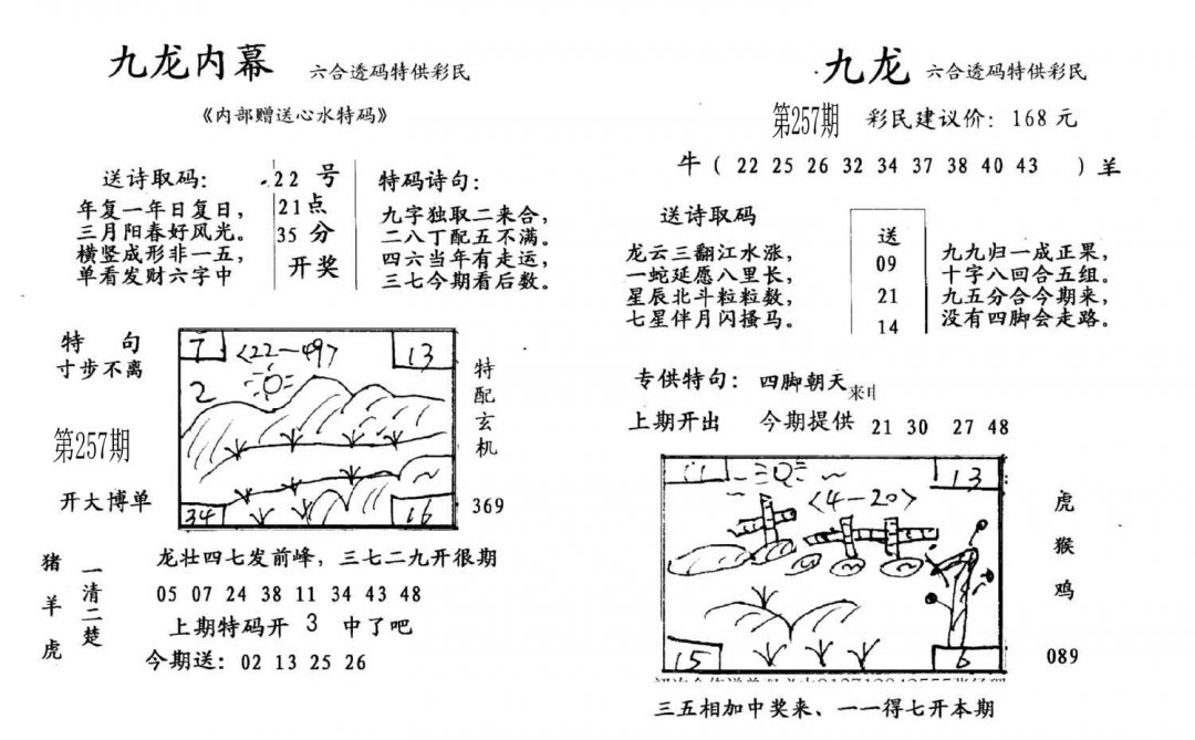 九龙内幕(开奖)-257