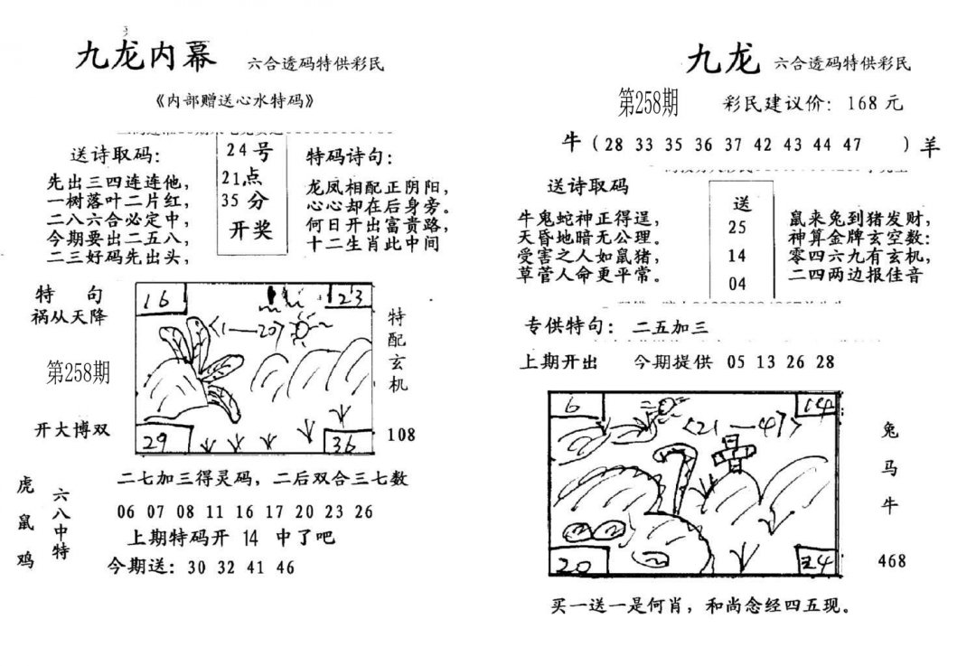 九龙内幕(开奖)-258