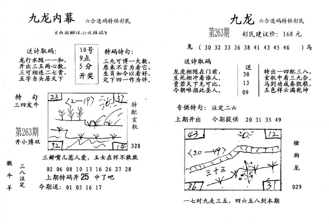 九龙内幕(开奖)-263