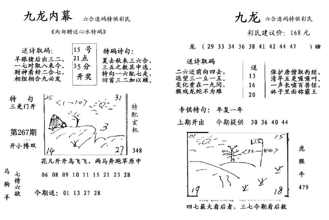 九龙内幕(开奖)-267