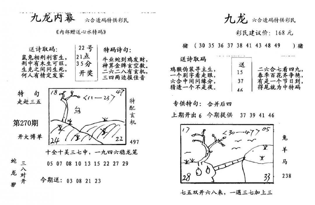 九龙内幕(开奖)-270