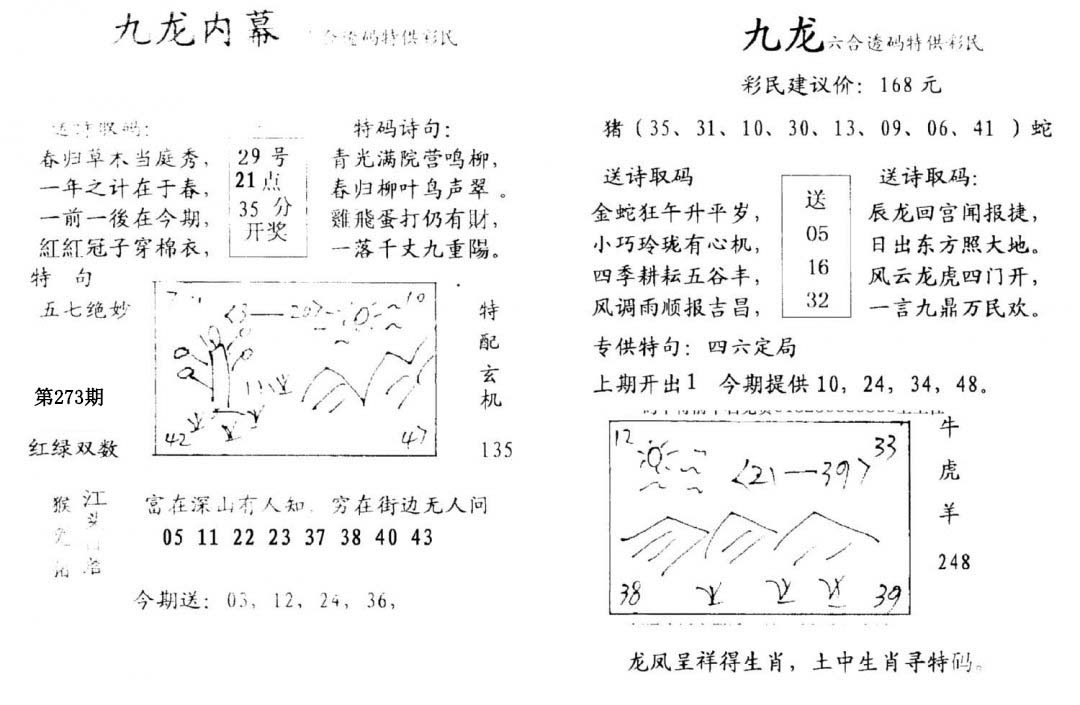 九龙内幕(开奖)-273