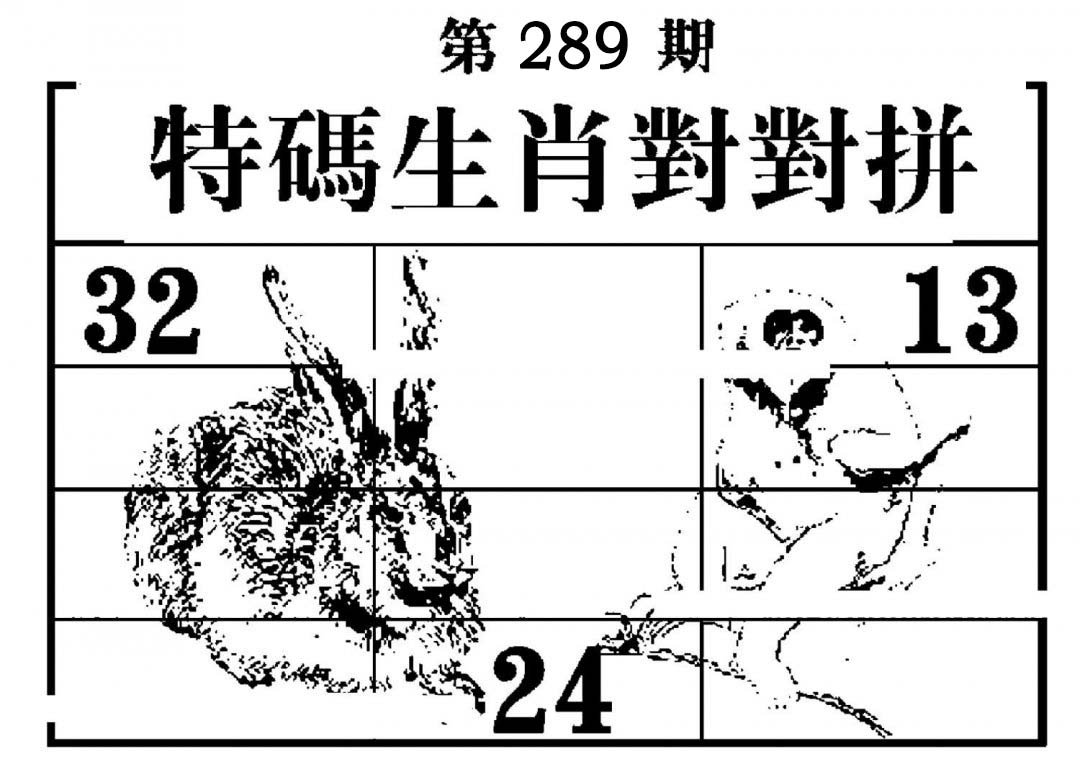 特码生肖对对拼-289